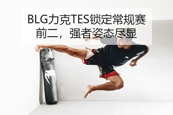 BLG力克TES锁定常规赛前二，强者姿态尽显